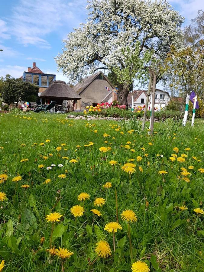 Hering Fewo I Apartment Terrace Wiek auf Rügen エクステリア 写真