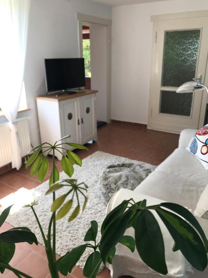 Hering Fewo I Apartment Terrace Wiek auf Rügen エクステリア 写真